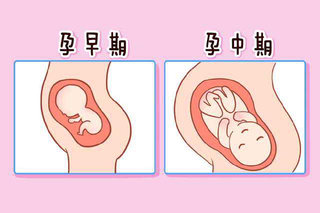 上海十院和同济医院哪个做试管婴儿比较好？