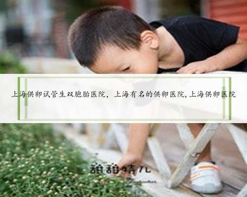 上海供卵试管生双胞胎医院，上海有名的供卵医院,上海供卵医院