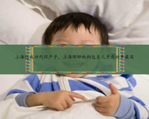 上海包成功代怀产子，上海供卵机构包生儿子成功率最高