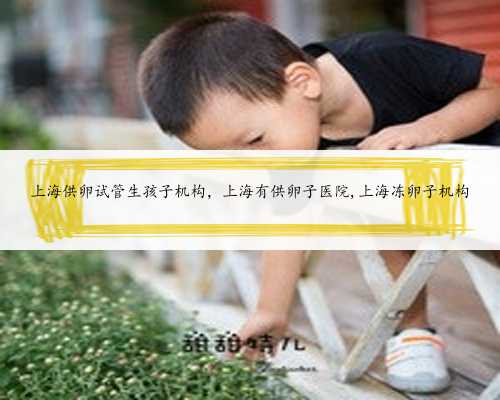 上海供卵试管生孩子机构，上海有供卵子医院,上海冻卵子机构