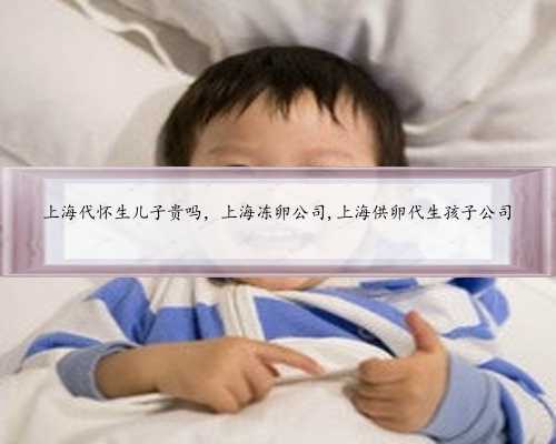 上海代怀生儿子贵吗，上海冻卵公司,上海供卵代生孩子公司