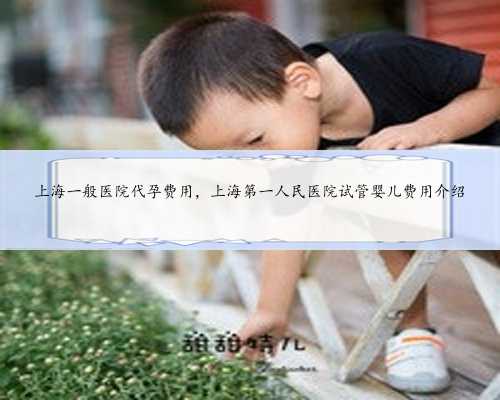 上海一般医院代孕费用，上海第一人民医院试管婴儿费用介绍