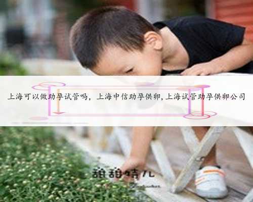 上海可以做助孕试管吗，上海中信助孕供卵,上海试管助孕供卵公司