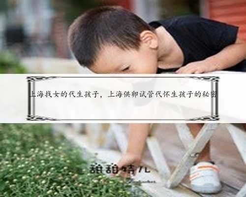 上海找女的代生孩子，上海供卵试管代怀生孩子的秘密