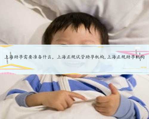 上海助孕需要准备什么，上海正规试管助孕机构,上海正规助孕机构