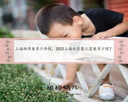 上海助孕要多少价钱，2022上海试管婴儿需要多少钱？
