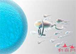正规上海代孕保密咨询，【正规平台】上海助孕套餐